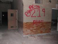 Chicago Ghost Hunters Group investigates Manteno Asylum (74).JPG